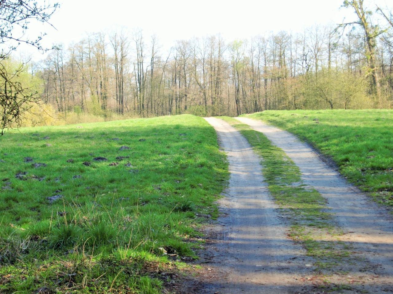Altes Forsthaus Garzau Lägenhet Exteriör bild