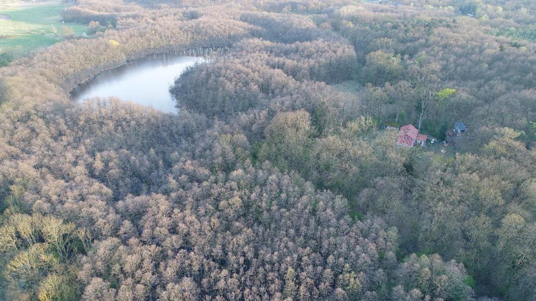 Altes Forsthaus Garzau Lägenhet Exteriör bild