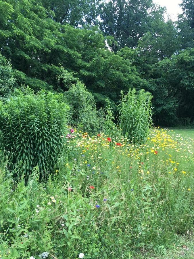 Altes Forsthaus Garzau Lägenhet Exteriör bild